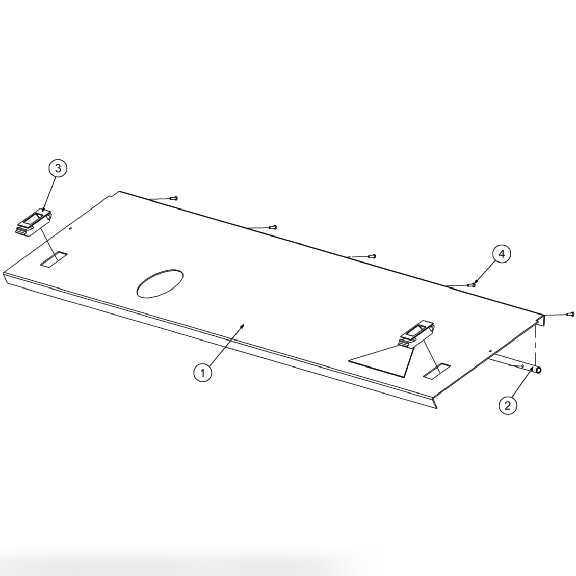 CLEANER HOOD ASSEMBLY