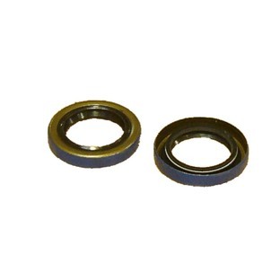 Front End Gearbox Oil Seal for Worm Input Shaft