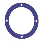 Shim, .005" Thickness