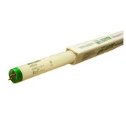 Lamp Flourescent 30W