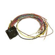 Receptacle Assembly (Mask)